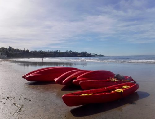 San Diego Birthday – Sailing and Kayaking